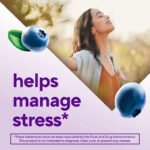 Vitafusion Ashwagandha Stress Support Gummies, 125 mg, Blueberry, 60 Count - view 3