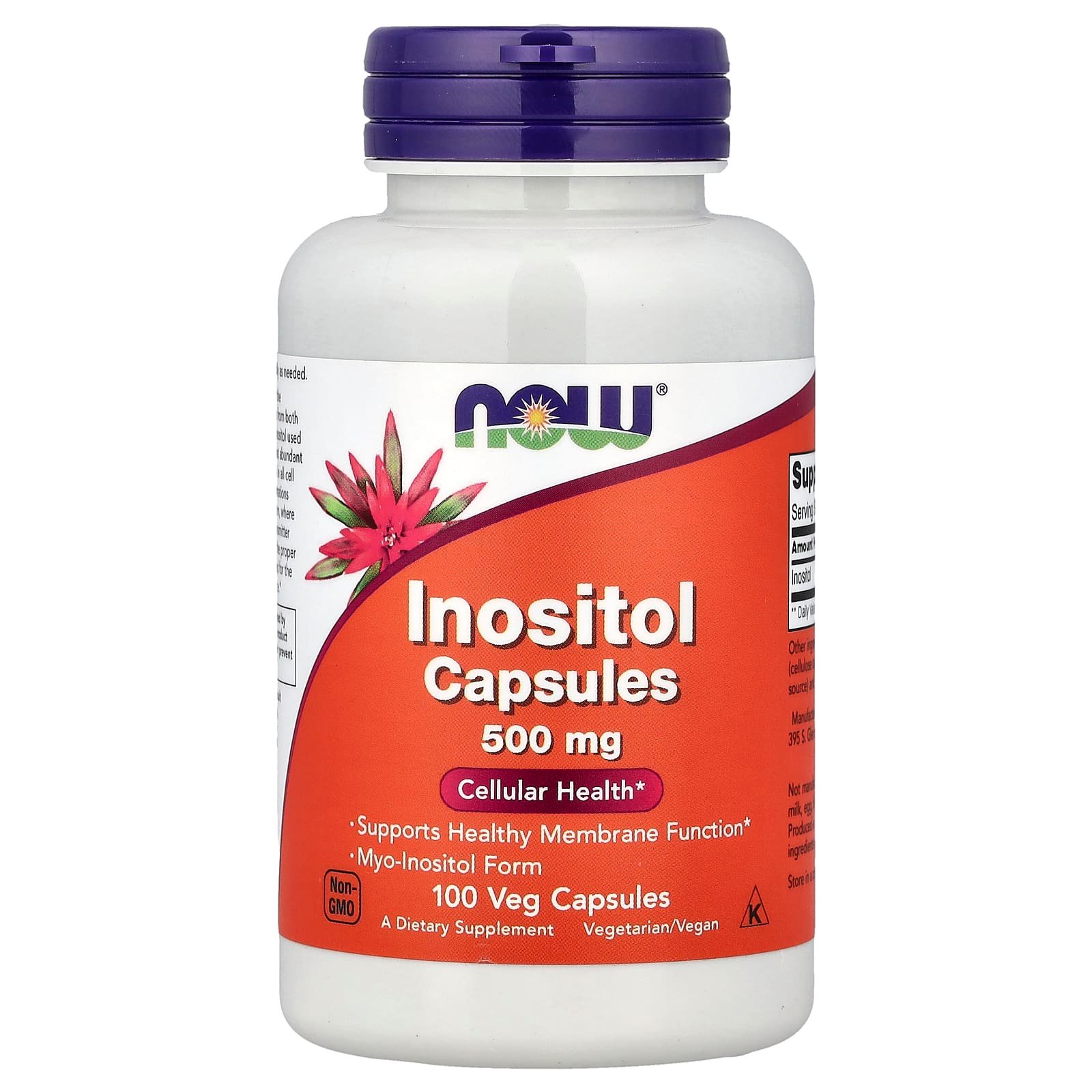 IMG-3880.jpg Now Foods Inositol 500 mg, 100 Capsules