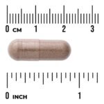 Swanson Saw Palmetto Full Spectrum, 540 mg, 100 Capsules - view 3
